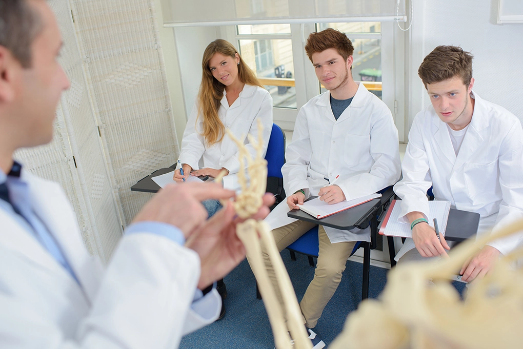 Klinischer Abschnitt